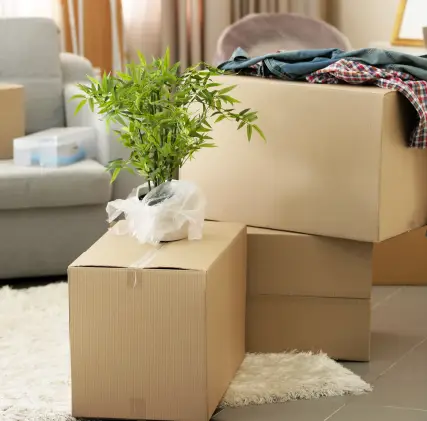 Caixas organizadas para mudança